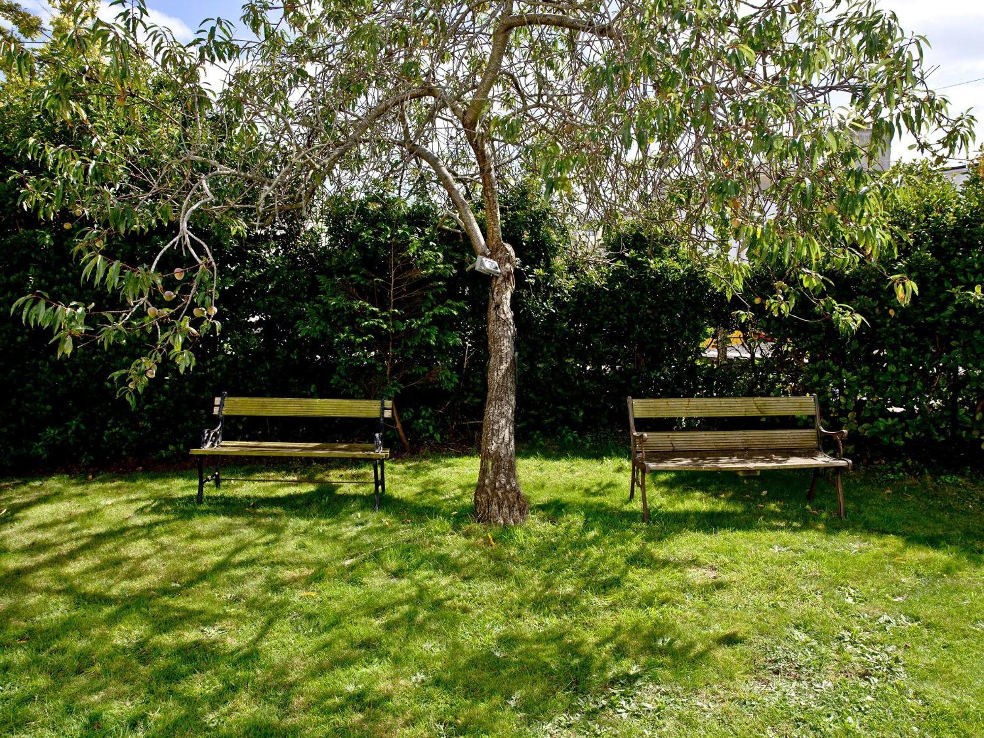 Devon Villa Garden Apartment Torquay Exterior foto